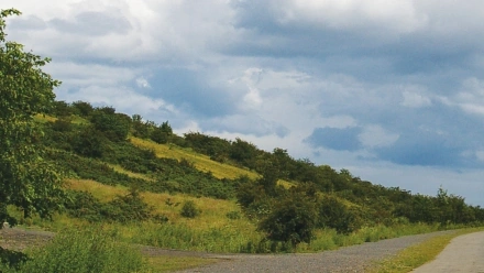 weetslade+path.jpg+%282%29.webp