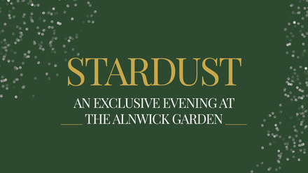 Stardust+%281080+x+1080+px%29+%282400+x+1200+px%29+%281%29.jpg