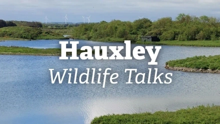 Hauxley+wildlife+talks+banner.jpg.webp