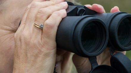 Bird+watching+-+Matthew+Roberts.jpg.webp