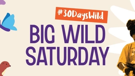 Big+Wild+Saturday+2025+header.jpg.webp